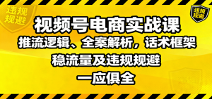 视频号电商实战课：推流逻辑、全案解析，话术框架，稳流量及违规规避等-网创资源总站