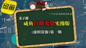 麦子甜咸鱼自助卖货实操版(虚拟资源)一个会自动搞钱的机器-网创资源总站