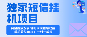 2025全新电脑挂机项目 操作简单，单机当天收益1000+，收益无上限，可…-网创资源总站