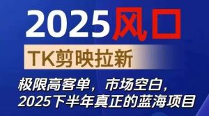 2025风口TK剪映capcut拉新项目，极限高客单，市场空白，2025下半年真正的蓝海项目-网创资源总站
