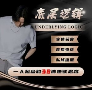 一个人起盘的底层逻辑，私域流量-直播电商-实体获客，一人起盘的36种賺钱思路-网创资源总站