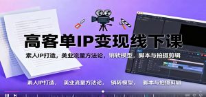 高客单IP变现线下大课：素人IP打造，美业流量方法论，销转模型，脚本与拍摄剪辑-网创资源总站
