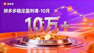 拼多多稳定盈利课-10月，强付费SOP+微付费高投产+活动矩阵，单店月入10万+-网创资源总站
