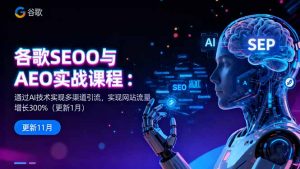谷歌SEO与AEO实战课程：通过AI技术实现多渠道引流，实现网站流量增长300%-网创资源总站