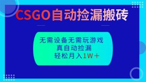 CSGO自动捡漏搬砖,当天操作当天见结果,无需了解游戏,包教包会包落地-网创资源总站