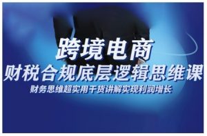 跨境电商财稅合规底层逻辑思维课，财务思维超实用于货讲解实现利润增长-网创资源总站