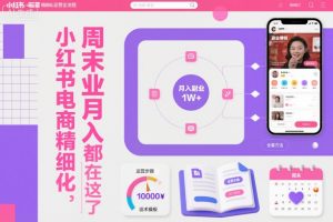 小红书电商精细化运营全流程,周末副业月入1W+,全套方法都在这了-网创资源总站