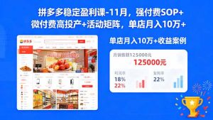 拼多多稳定盈利课-11月，强付费SOP+微付费高投产+活动矩阵，单店月入10w+-网创资源总站