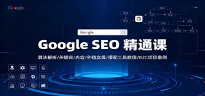 Google SEO 精通课：算法解析/关键词/内容/外链实操/搭配工具教程/B2C项目案例-网创资源总站