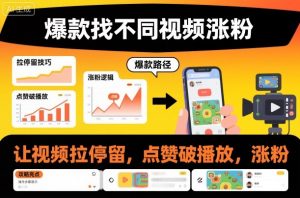 爆款找不同视频涨粉，让视频拉停留，实现点赞，破播放，涨粉-网创资源总站