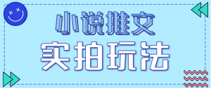 小说推文实拍玩法，零成本零门槛10元/单，轻松月收益万元-网创资源总站