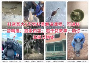 抖音某大V万物科普解说课程，可进抖音精选，独家内容，超干货教学，助你涨粉又賺钱-网创资源总站