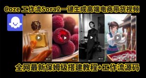 coze智能体sora2一键生成电商带货高端视频工作流保姆级拆解教程,无需剪辑,无需拍摄-网创资源总站