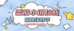 番茄小说拉新，保姆级教程，小白也可以日入三位数-网创资源总站