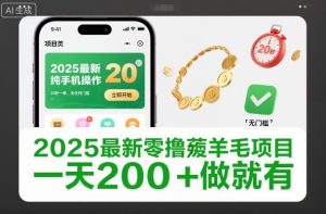 2025最新零撸薅羊毛项目，纯手机操作，20秒一单，无任何门槛，一天200+做就有【揭秘】-网创资源总站