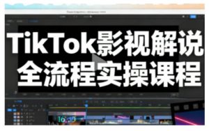 TikTok影视解说全流程实操，手把手教你打造TK爆款解说视频-网创资源总站