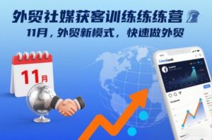 外贸社媒获客训练营11月，外贸新模式，快速做外贸-网创资源总站