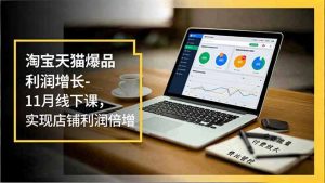 淘宝天猫爆品利润增长-11月线下课，免费流量、付费放大、费比管控，实现店铺利润倍增-网创资源总站