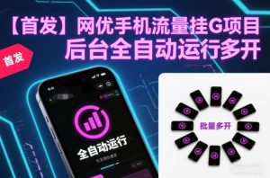 【首发】网优手机流量挂G项目，后台全自动运行，可无限批量多开【揭秘】-网创资源总站