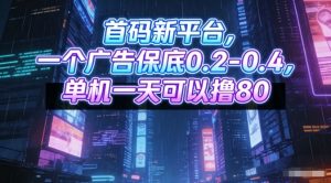 首码新平台,一个广告保底0.2-0.4,单机一天可以撸80,可矩阵操作【揭秘】-网创资源总站