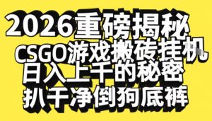 2026开年重磅解密，CSGO游戏搬砖挂G日入1k+的秘密，把倒狗的底裤扒干【揭秘】-网创资源总站