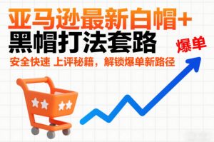 亚马逊最新白帽+黑帽打法套路，安全快速上评秘籍，解锁爆单新路径-网创资源总站