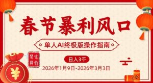 春节暴利风口项目，单人AI落地翻身终极版实操-网创资源总站
