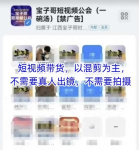 宝子哥头部团队短视频带货，以混剪为主，不需要真人出镜，不需要拍摄【更新26年1月】-网创资源总站