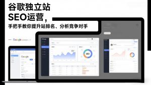 谷歌独立站SEO运营，手把手教你提升网站排名、分析竞争对手(更新2026)-网创资源总站