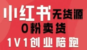 小红书无货源0粉电商课，开店准备、选品策略、笔记撰写、视频剪辑、数据分析、账号打造、资料文档(更新26年2月)-网创资源总站