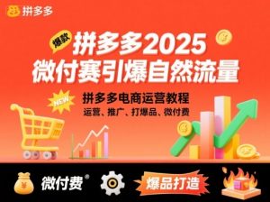 拼多多微付费引爆自然流量，拼多多电商运营教程，运营、推广、打爆品、微付费(更新26年2月)-网创资源总站