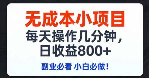 无成本小项目,每天操作几分钟,日收益800+ 副业必看 小白必做！-网创资源总站