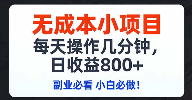 无成本小项目,每天操作几分钟,日收益800+ 副业必看 小白必做！-网创资源总站