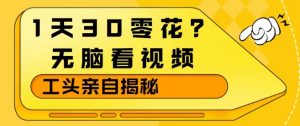 1天30零花？无脑看视频，大佬亲自揭秘-网创资源总站