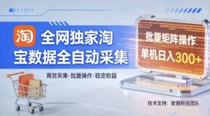 全网独家，淘宝数据全自动采集项目，批量可矩阵，单机轻松日入300【揭秘】-网创资源总站