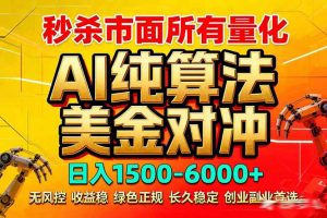 2026全网首发黑马项目，AI美金算法对冲，日入2000-6000+，稳定长效0风险，彻底告别996死工资-网创资源总站