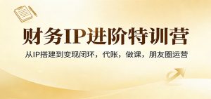 财务IP进阶特训营:从IP搭建到变现闭环,代账,做课,朋友圈运营-网创资源总站