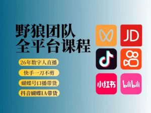 野狼团队2026新版全平台短视频带货教学，打开流量突破口，开始Ai带货(更新26年3月)-网创资源总站