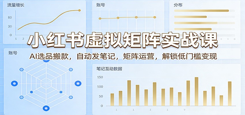 小红书虚拟矩阵实战课：AI选品搬款，自动发笔记，矩阵运营，解锁低门槛变现-网创资源总站