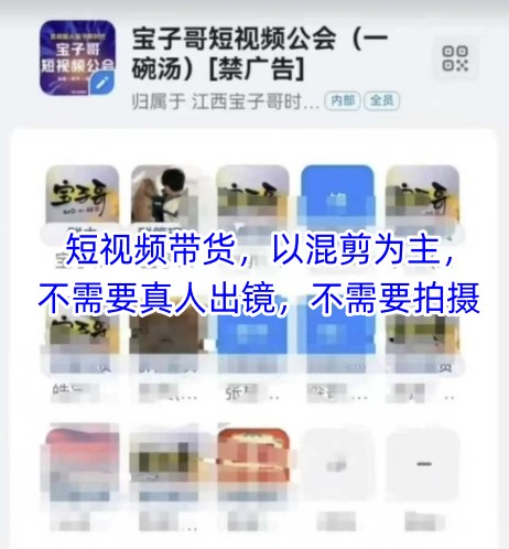宝子哥头部团队短视频带货，以混剪为主，不需要真人出镜，不需要拍摄【更新26年3月】-网创资源总站