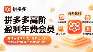 拼多多高阶盈利年费会员(更新4月-网创资源总站