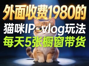 宠物赛道猫咪IP-vlog玩法,26条视频涨粉29W,每天5张橱窗带货拆解-网创资源总站