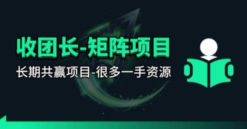 【团长合作】视频矩阵项目_招发手矩阵+剪辑师，共赢项目【揭秘】-网创资源总站