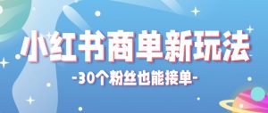 合新手小白操作的小红书商单新玩法,低粉丝也能接单,一个月接三单赚了150+!-网创资源总站