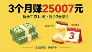 3个月赚钱25007元,每天工作1个小时,新手3天全部学会!-网创资源总站