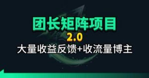 【团长合作2.0】视频矩阵项目_招发手矩阵+剪辑师，共赢项目【揭秘】-网创资源总站