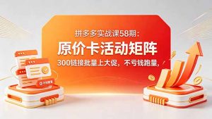 拼多多实战课58期：原价卡活动矩阵，300链接批量上大促，不亏钱跑量-网创资源总站