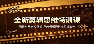 全新剪辑思维特训课：颠覆常规学习路径，靠剪辑逻辑搞定拍摄创作-网创资源总站