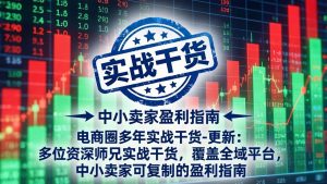 电商圈多年实战干货-更新5月10：多位资深师兄实战干货/覆盖全域平台，中小卖家可复制的盈利指南-网创资源总站