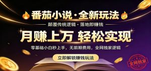 番茄小说5月最新独家玩法，稳定落地实测月入过万！-网创资源总站